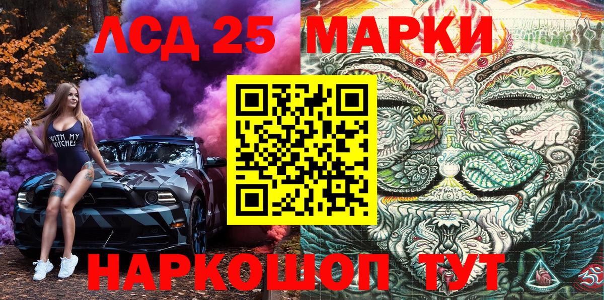 МЕФ Грозный