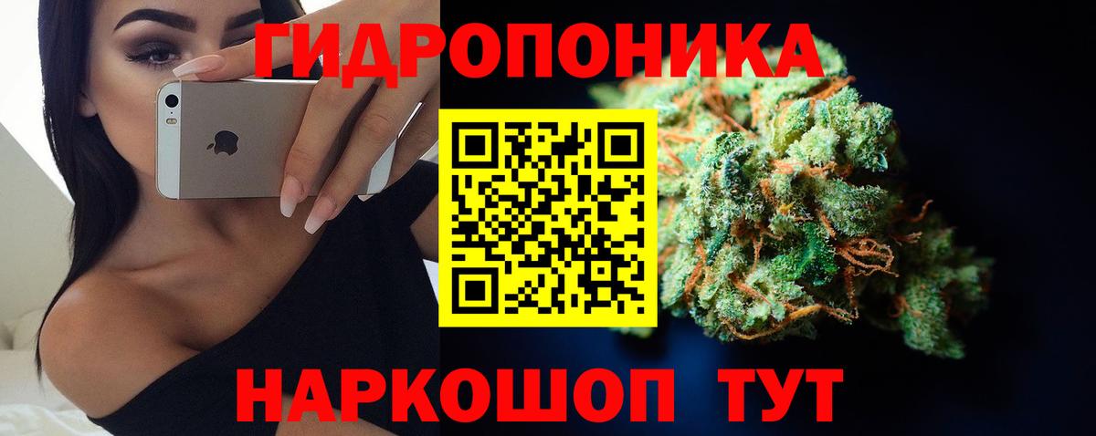 Канабис White Widow  Шишки марихуана сатива  Грозный  Вход с VPN  Бошки марихуана гибрид 